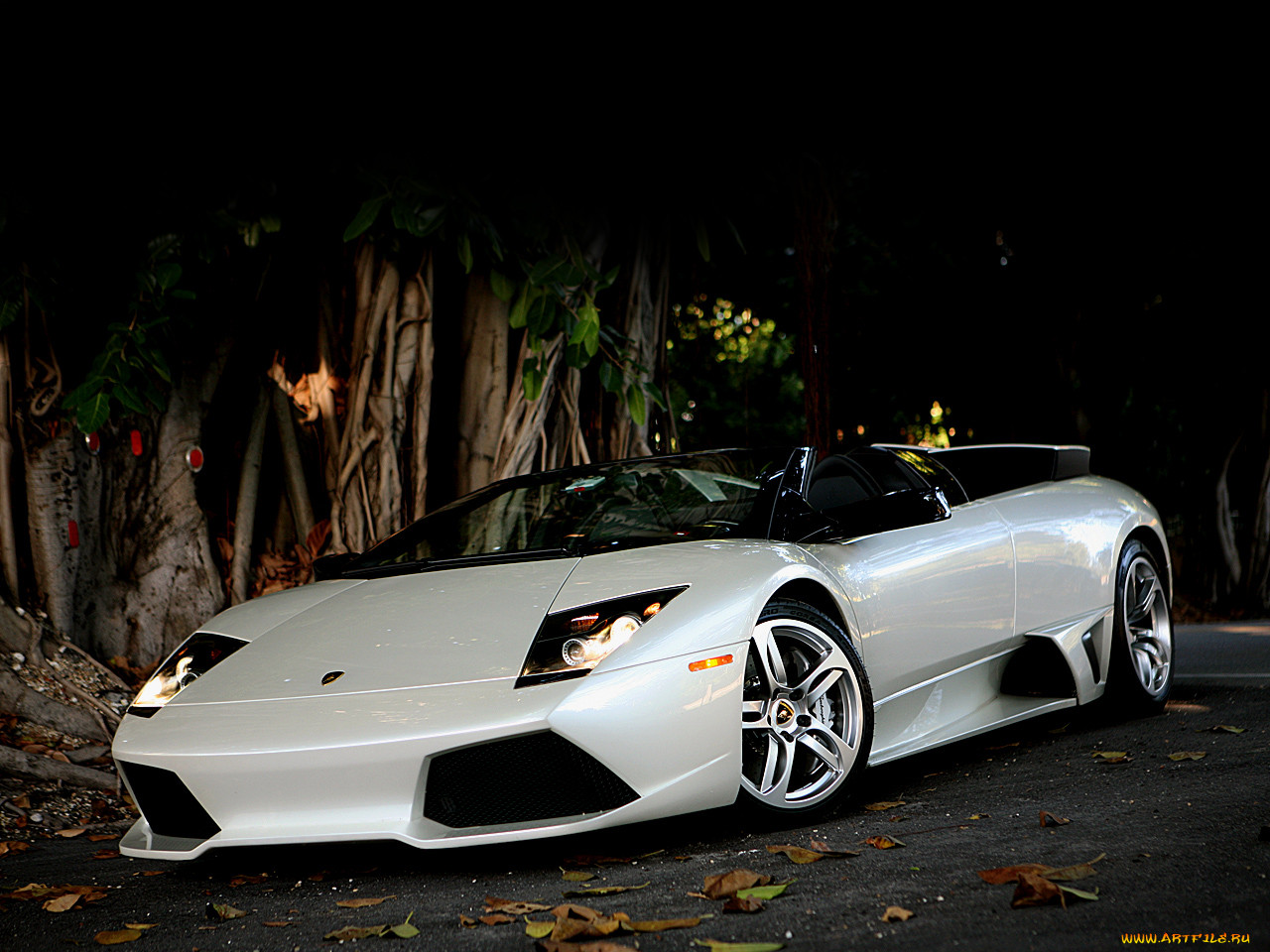 , lamborghini